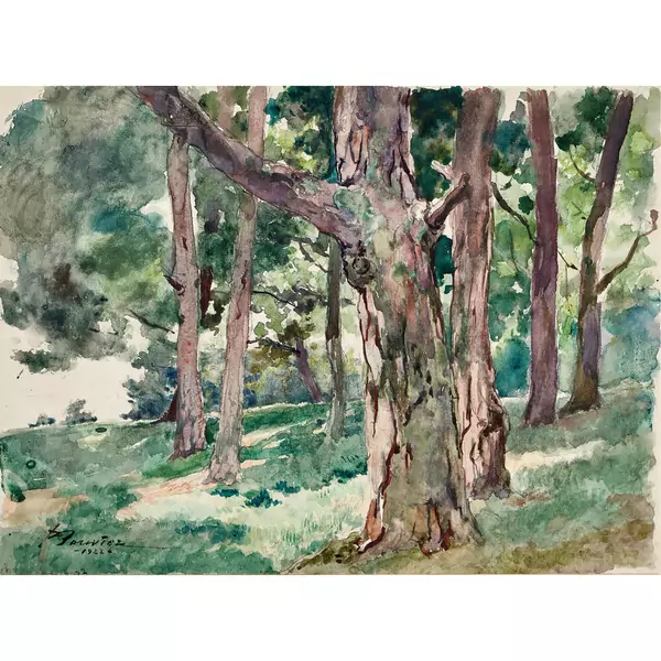 Waldpartie