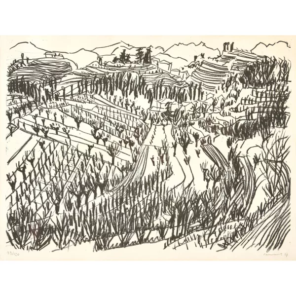 Paul Camenisch — Weite Landschaft.