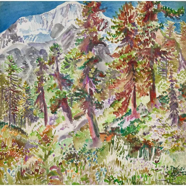 Berglandschaft mit Wald