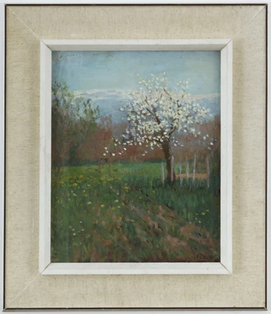 Pommier en fleurs
