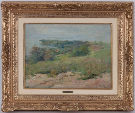 Paysage côtier