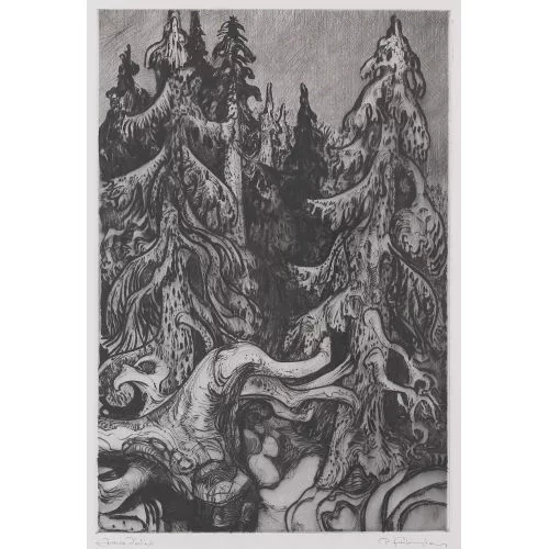 Paul Freiburghaus — Bergwald.