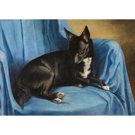 Liegender Hund auf blauer Decke