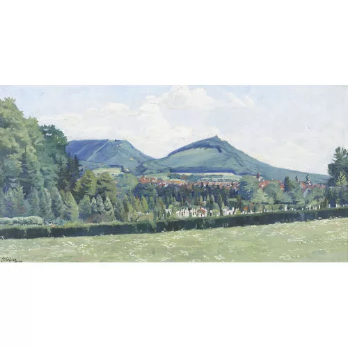 Paul Schürch — Ansicht von Olten mit dem Sälischlössli.