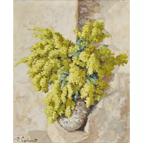 Mimosenstrauss auf der Treppe