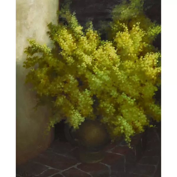 Mimosenstrauss