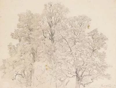 Paul Weber — Maltermoos Berchtesgarden