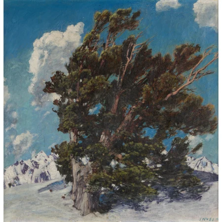 Winterliche Berglandschaft mit Arve