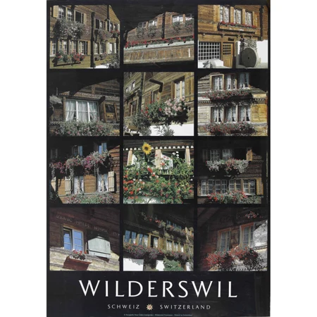 "Wilderswil"