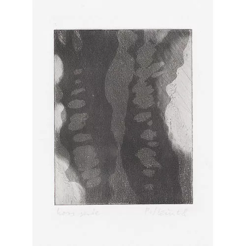 Peter Stein — Clair-obscur.