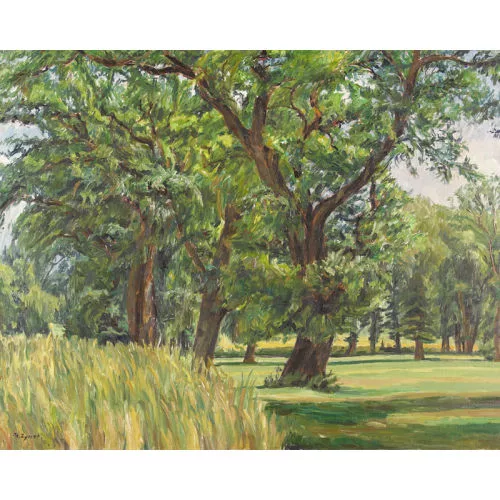 Philippe Zysset — Sommerlandschaft mit Bäumen.