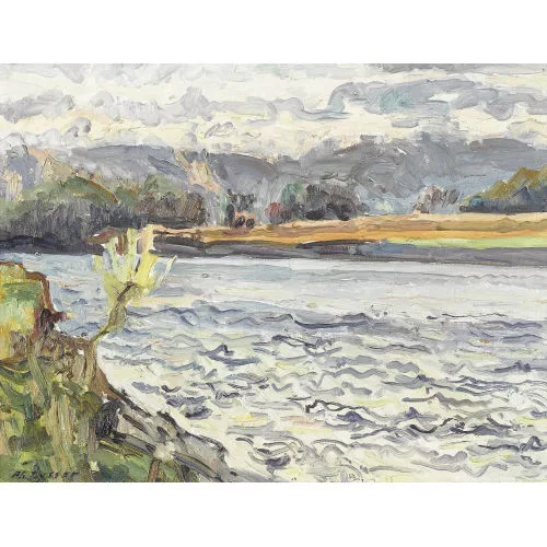 Philippe Zysset — "Le petit Rhône".