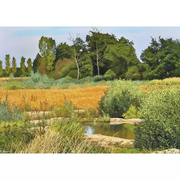 Paysage