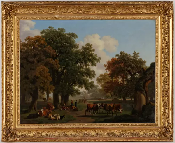 Intérieur de forêt avec un petit percé sur le lac