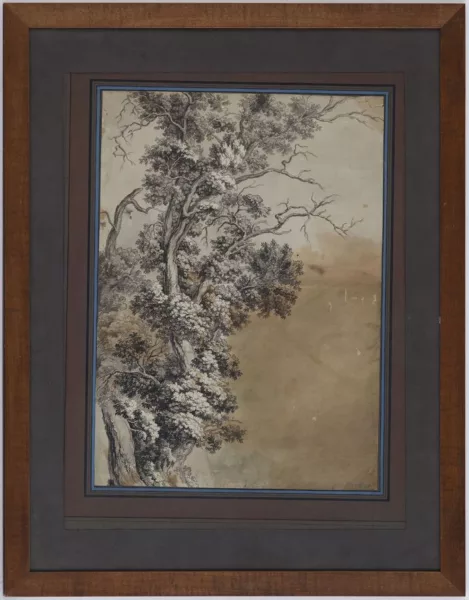 Pierre-Louis De la Rive — Etude d'arbre