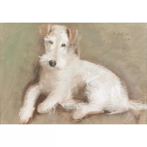 Pietro Chiesa — Weisser Terrier.