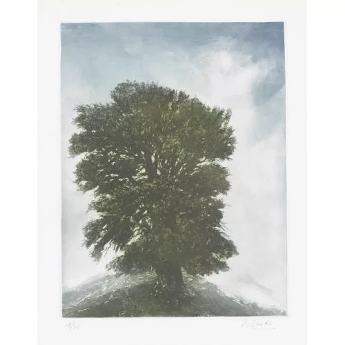 Pietro Sarto — "L′arbre".