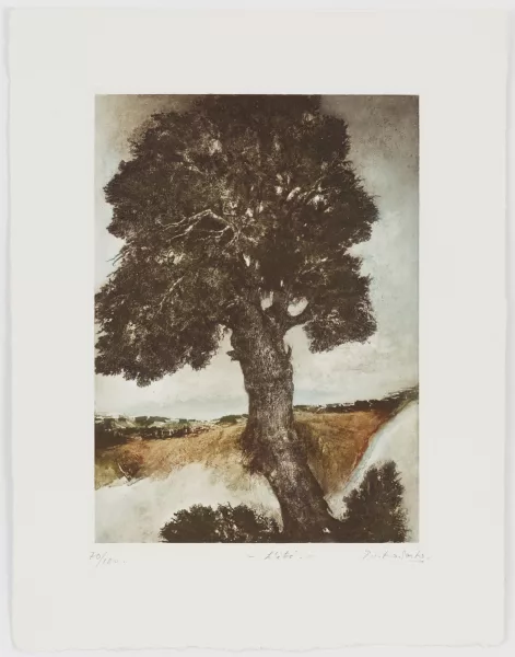Pietro Sarto — Arbre"
