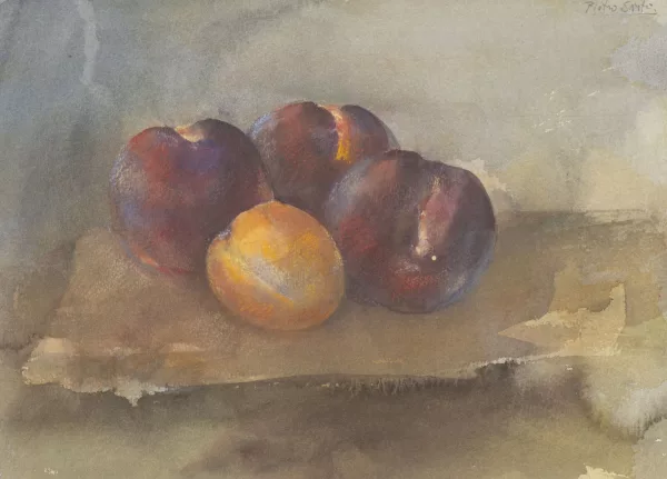 Pietro Sarto — Pietro SARTO (1930), "Les Pêches", aquarelle
