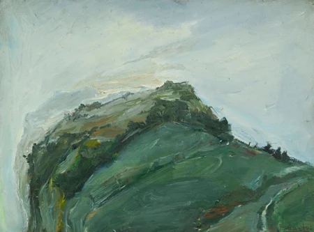 Paysage verdoyant