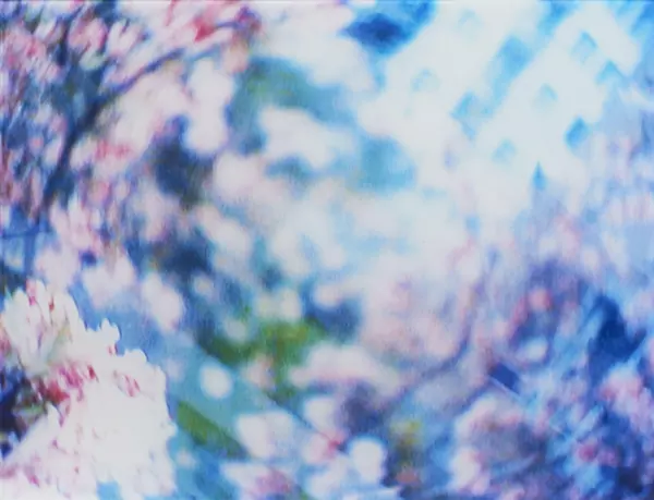 Pipilotti Rist (1962) — Genève Enchères