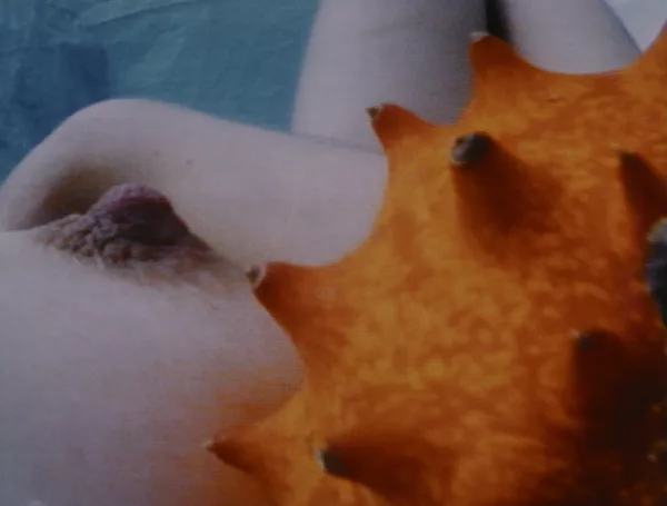 Pipilotti Rist — Videostill. Pickelporno