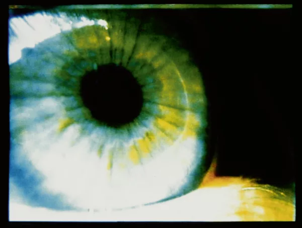 Pipilotti Rist — Love