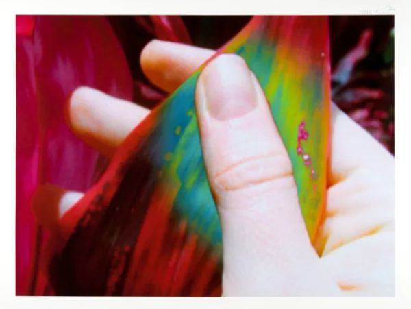 Pipilotti Rist — Kern der Berührung Published by the Verein für Originalgraphik with an edition of 66 copies
