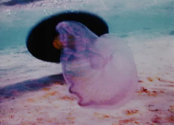Pipilotti Rist — Videostill. Ohne Titel, 1992/1993