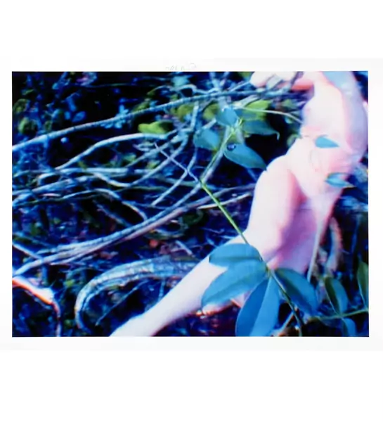 Pipilotti Rist — Stemmung der Lianen Erschienen im Verein für Originalgraphik in einer Auflage von 66 Exemplaren — Galerie Kornfeld