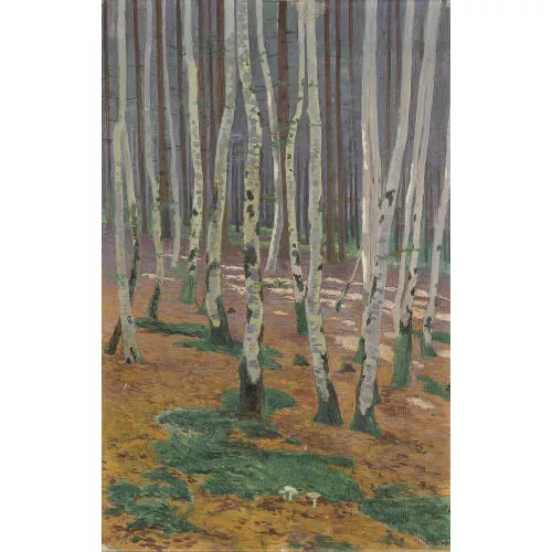 Plinio Colombi — Sonniger Birkenwald.