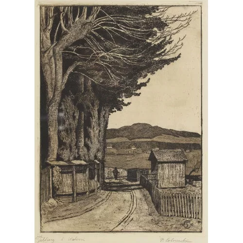 Plinio Colombi — "Feldweg bei Wabern".