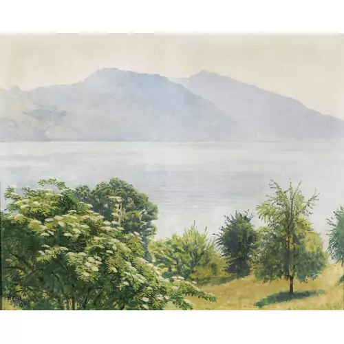 Blick auf den Thunersee im Sommer
