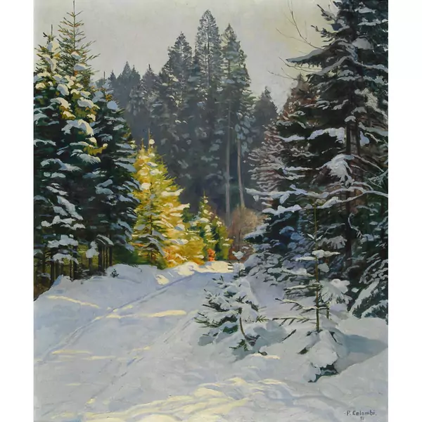 Sonniger Waldweg im Winter