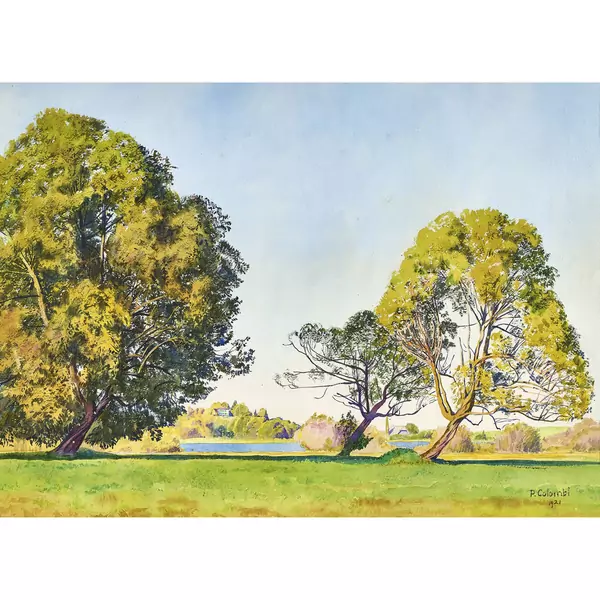 Sommerliche Aarelandschaft