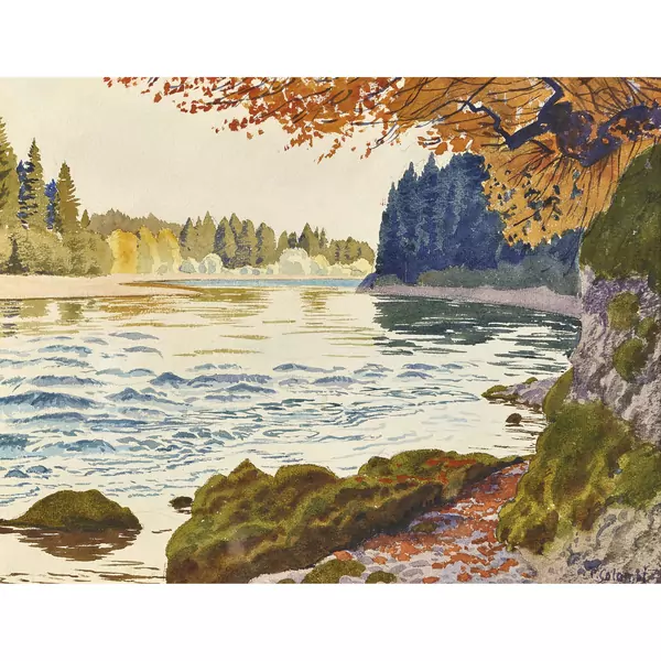Herbstlich gefärbtes Aareufer