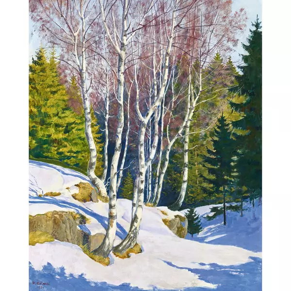 Besonnter Bergwald im Winter