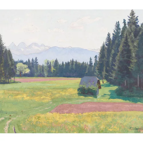 Plinio Colombi — Sommerliche Wiesenpartie mit Alpenpanorama.
