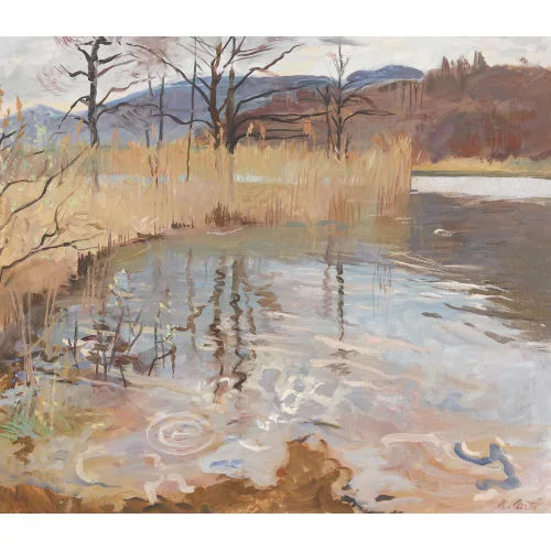Regina Conti — Uferpartie mit Schilf am Lago di Origlio.