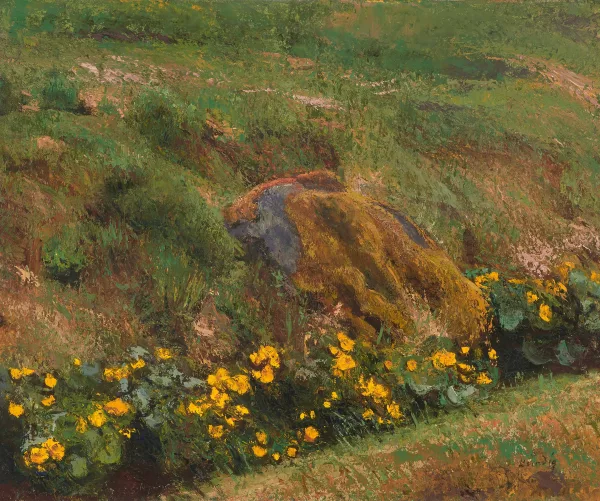 Reinhold Kündig — Wiesenbord mit gelbem Hahnenfuss