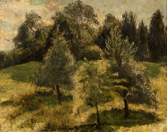 Reinhold Kündig — Waldlichtung