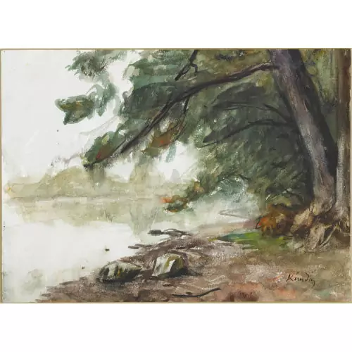 Baumbestandenes Flussufer