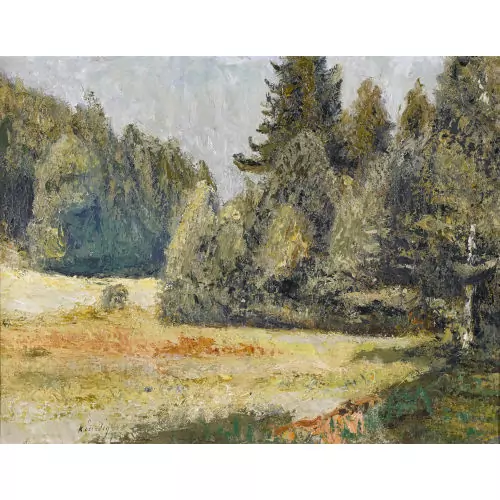 Waldlichtung