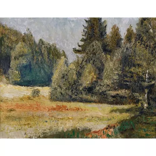 Waldlichtung