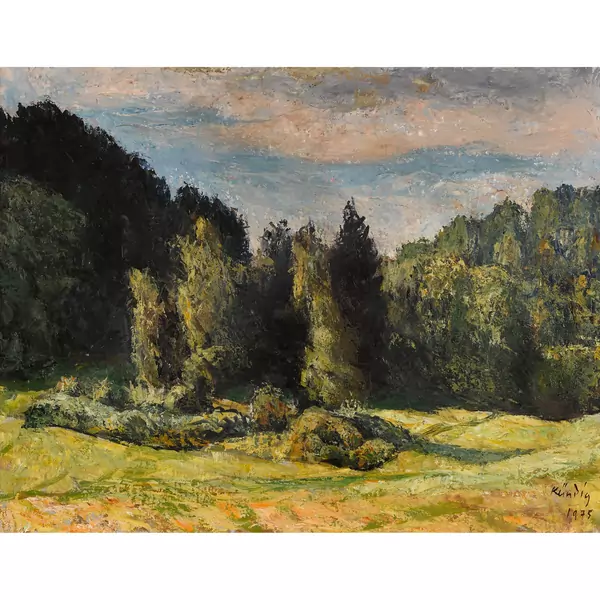 Waldrand im Sonnenlicht