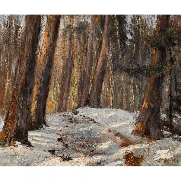 Sonnige Waldlandschaft im Winter