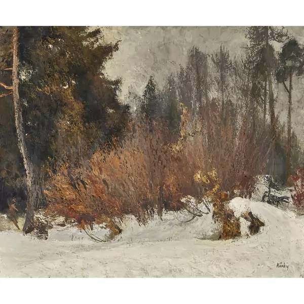 Waldlandschaft im Schnee