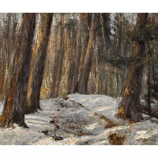 Sonnige Waldlandschaft im Winter