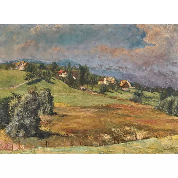 Landschaft bei Wädenswil