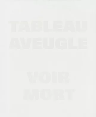 Rémy Zaugg — Tableau aveugle voir mort, 1986–1991